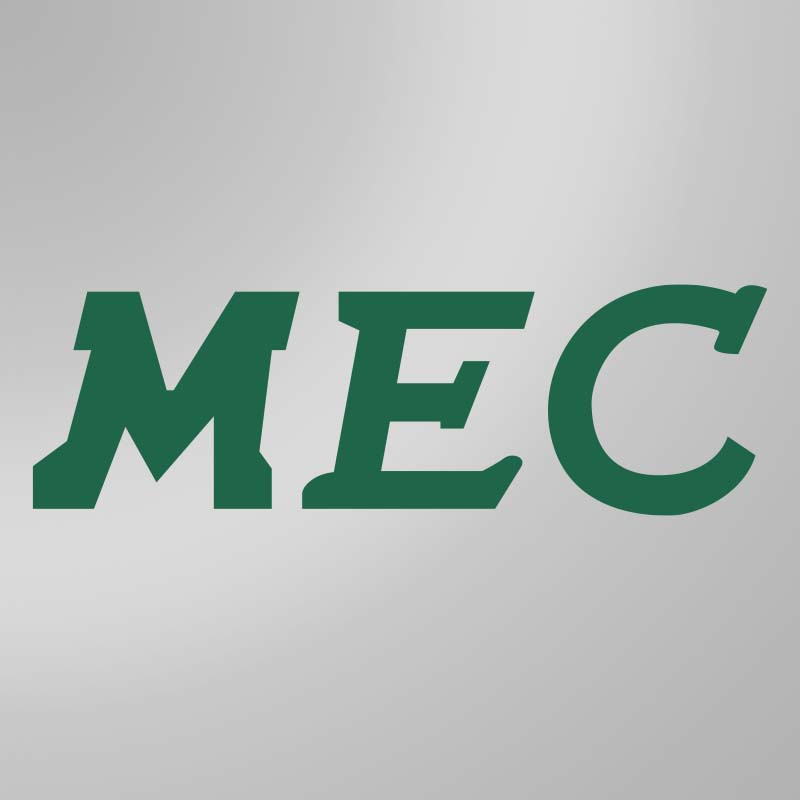 Mahani Electric Co., LTD